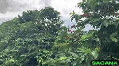 Comendo ela dentro do mato